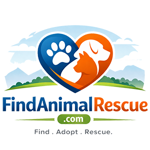 Find Animal Rescue